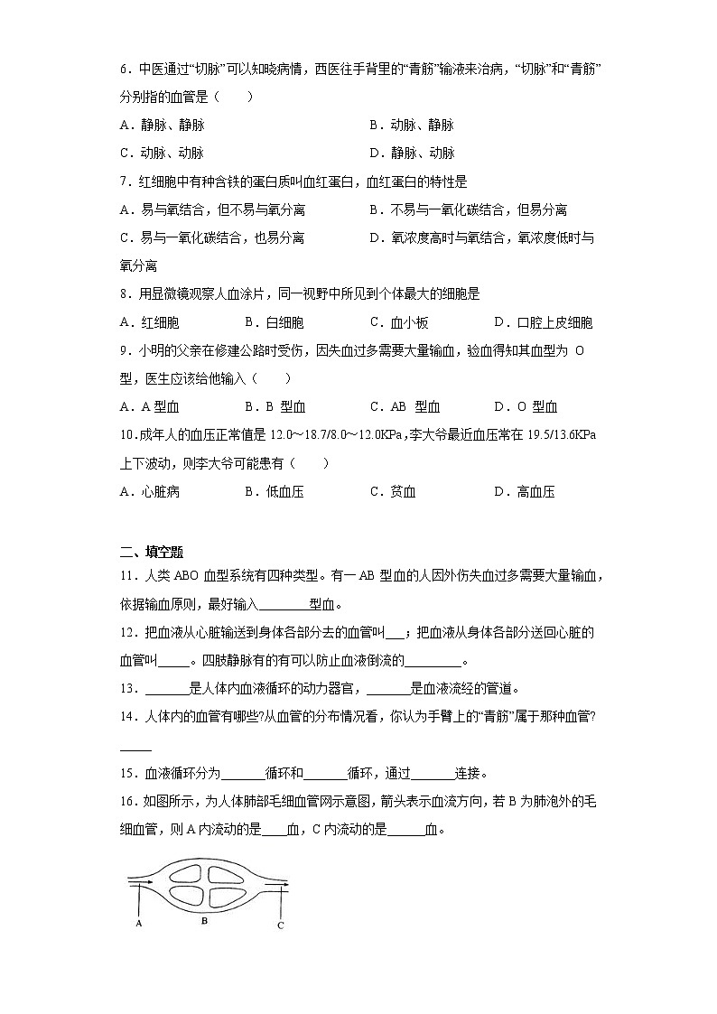 北师大版生物七年级下册第九章《人体内的物质运输》测试卷(含答案)第2页