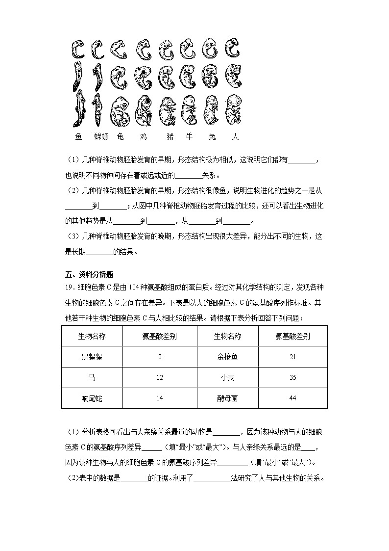2020-2021学年济南版生物八年级下册第五单元第二章《人类的起源与进化》测试卷(含答案)03