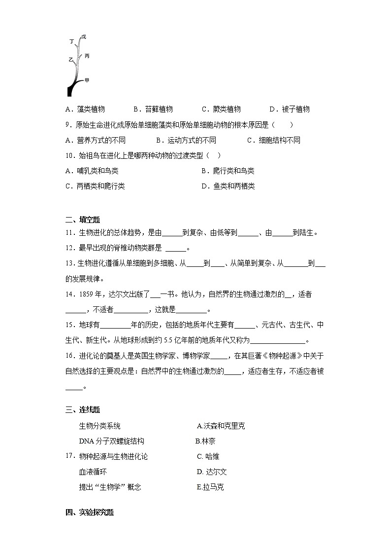 2020-2021学年鲁科版生物八年级下册 第八单元第三章《生命的起源和生物的进化》测试卷(含答案)02