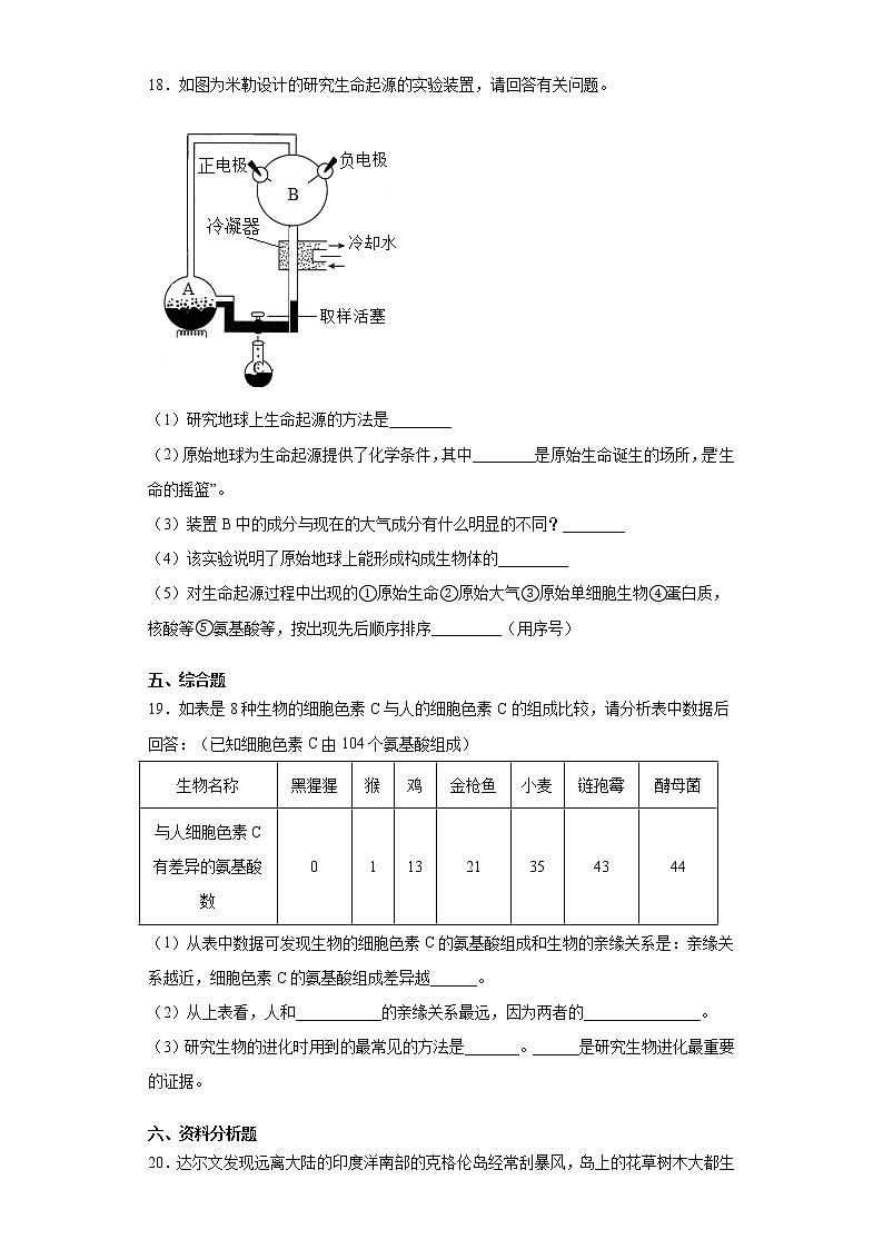 2020-2021学年鲁科版生物八年级下册 第八单元第三章《生命的起源和生物的进化》测试卷(含答案)03