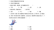 生物第12章 空中的生物综合与测试当堂达标检测题
