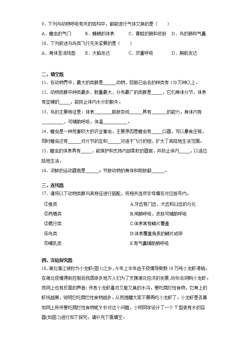 苏科版生物七年级下册第12章 《空中的生物》测试卷(含答案)02