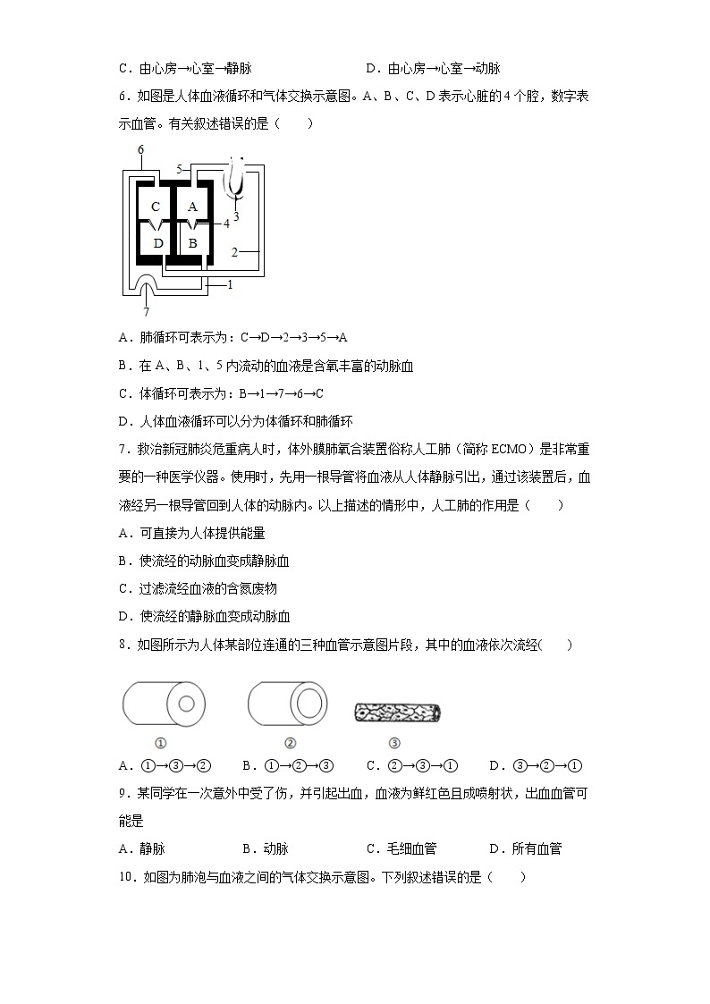 2020-2021学年人教版生物七年级下册第四章《人体内物质的运输》测试卷（含答案）02