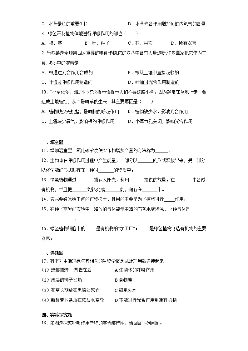 2020-2021学年鲁科版生物六年级下册第五章 《绿色植物与生物圈中的碳一氧化碳》测试卷(含答案)第2页