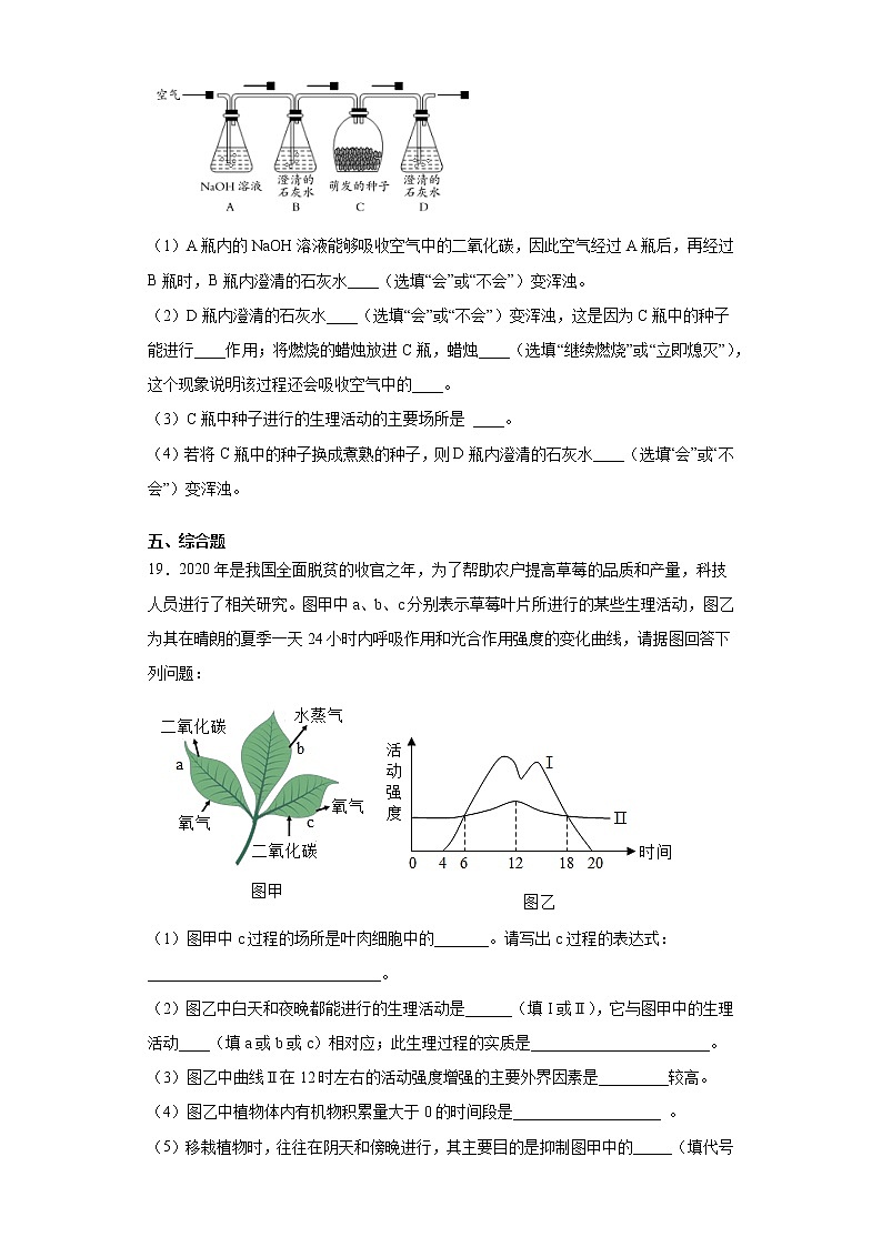 2020-2021学年鲁科版生物六年级下册第五章 《绿色植物与生物圈中的碳一氧化碳》测试卷(含答案)第3页
