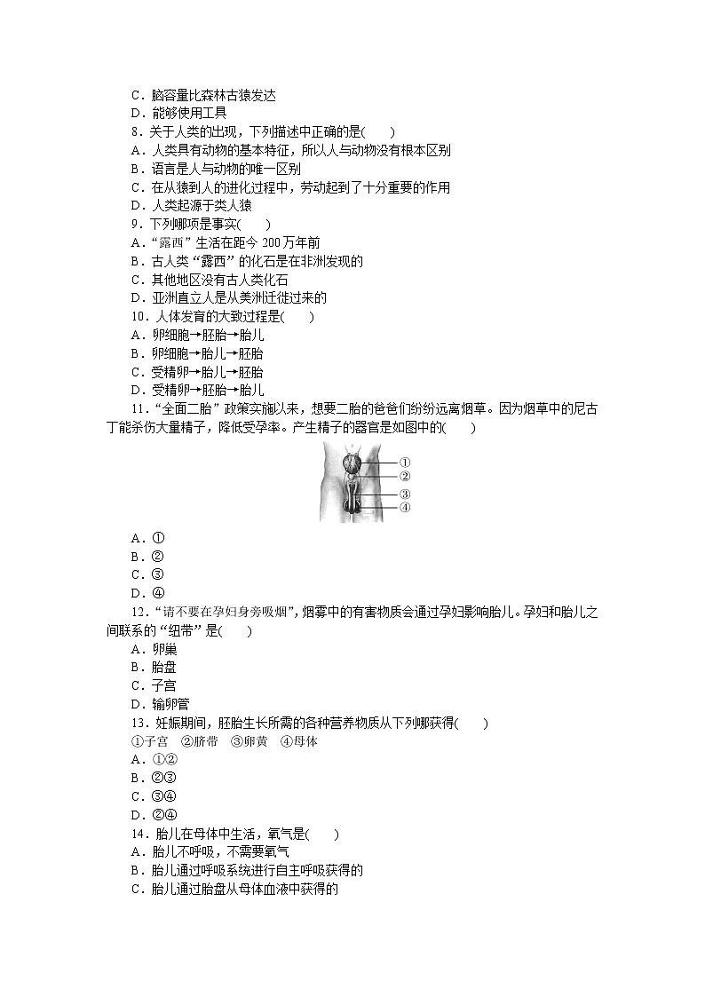 人教版生物七年级下册第一章《人的由来》检测卷及答案02