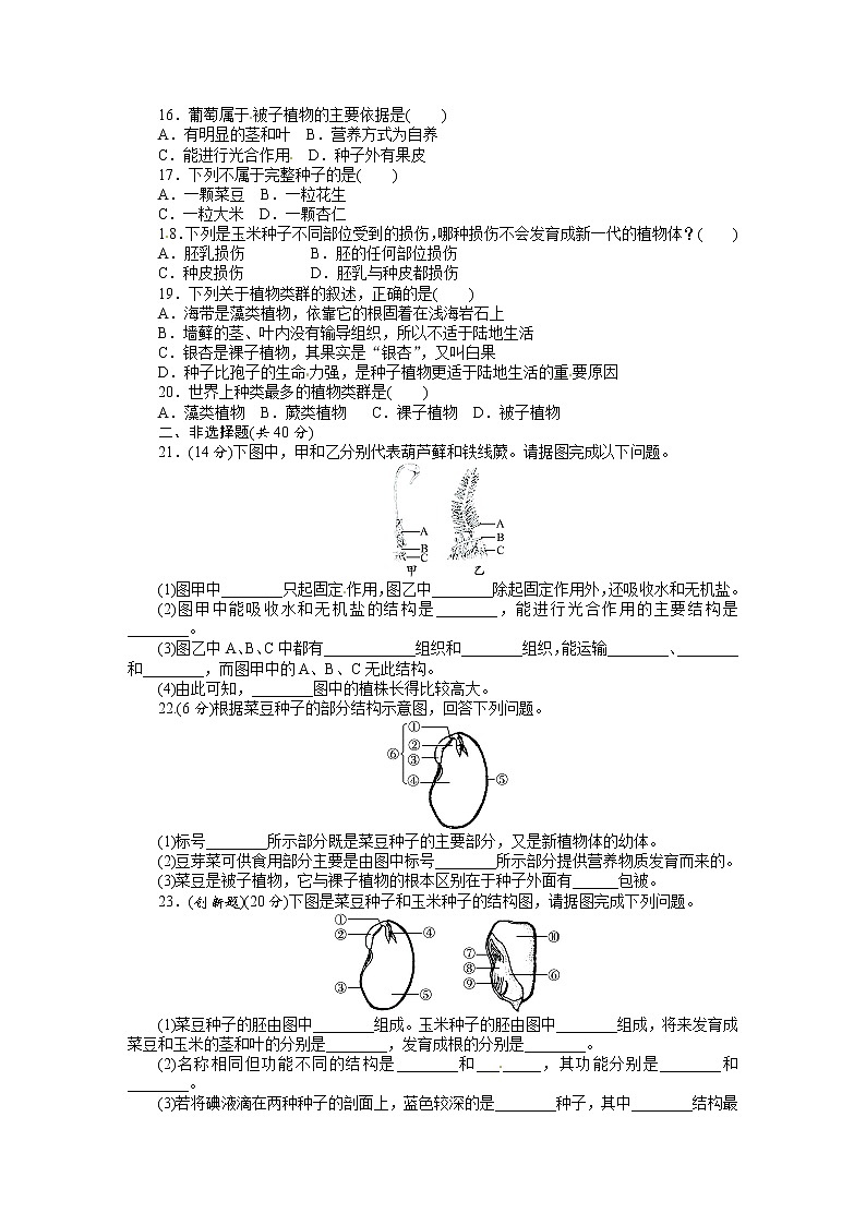 人教版七级生物上册单元测试题:第3单元第1章 生物圈中有哪些绿色植物【word版】含答案02