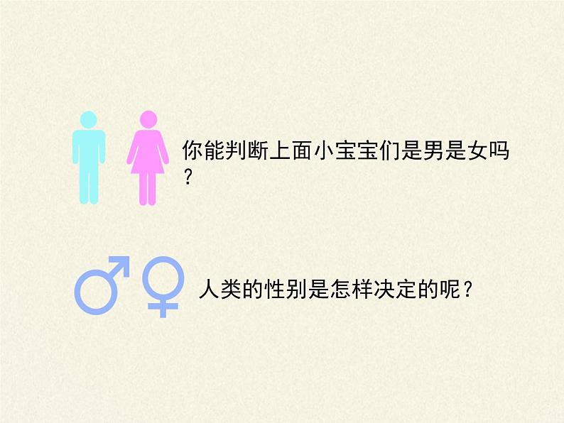 八年级生物下册教学课件-7.2.4人的性别遗传 (1)05
