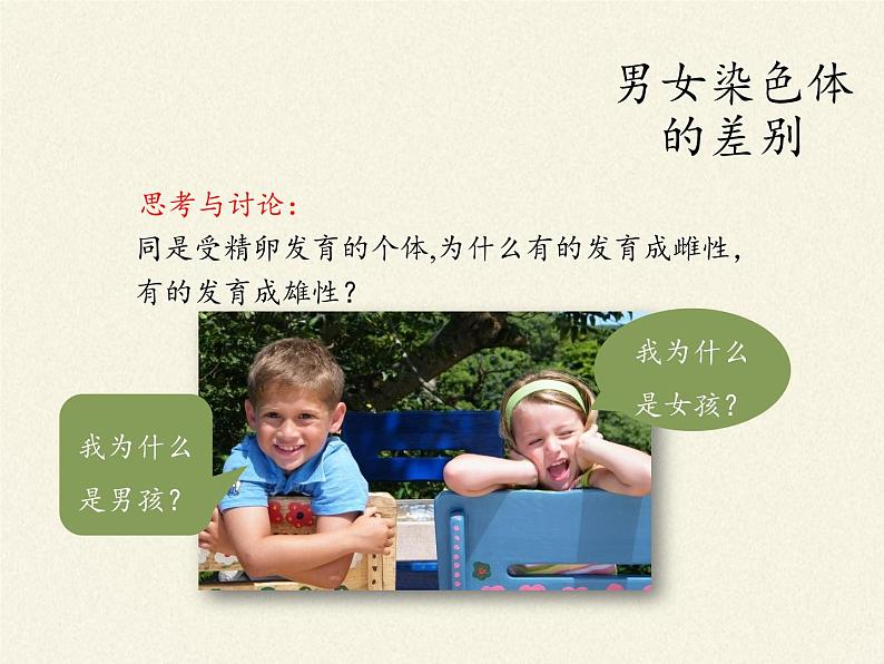 八年级生物下册教学课件-7.2.4人的性别遗传 (1)06