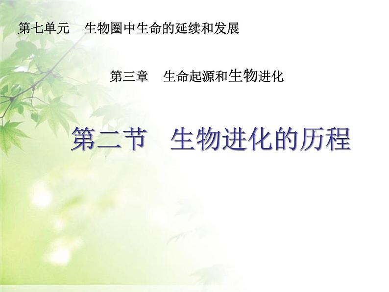 人教版生物八年级下7.3.2生物进化的历程(共20张PPT)03