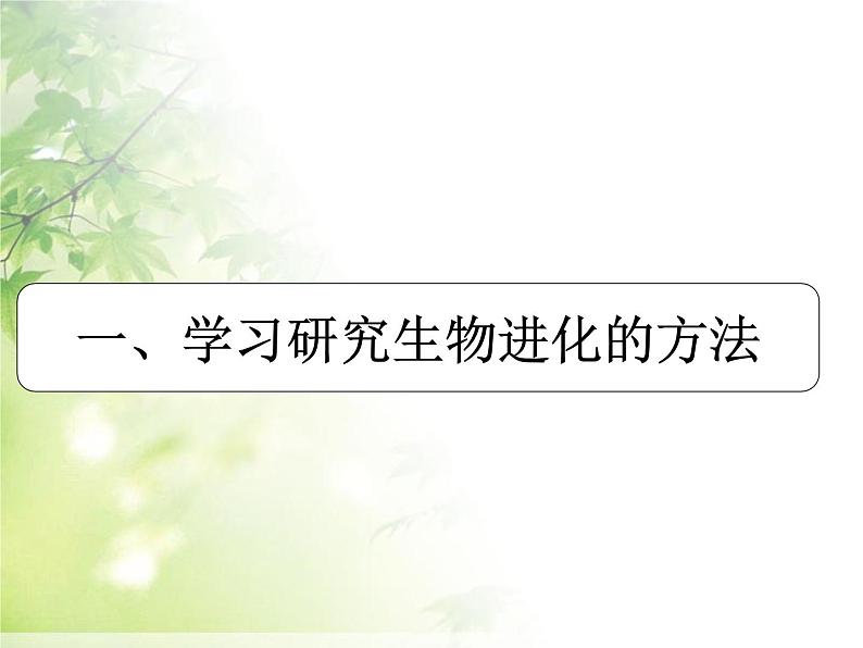 人教版生物八年级下7.3.2生物进化的历程(共20张PPT)04