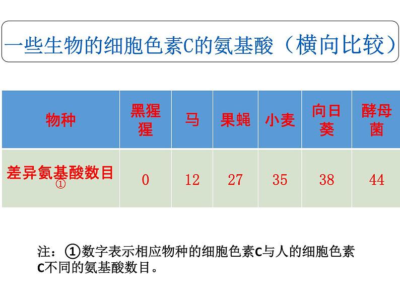 人教版生物八年级下7.3.2生物进化的历程(共20张PPT)06