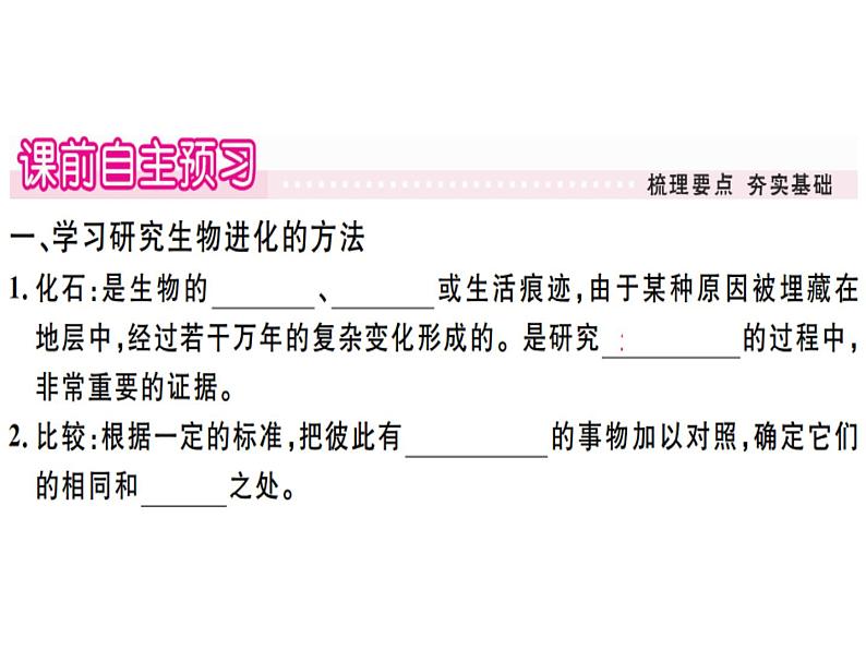人教版生物八年级下7.3.2生物进化的历程(共20张PPT)08