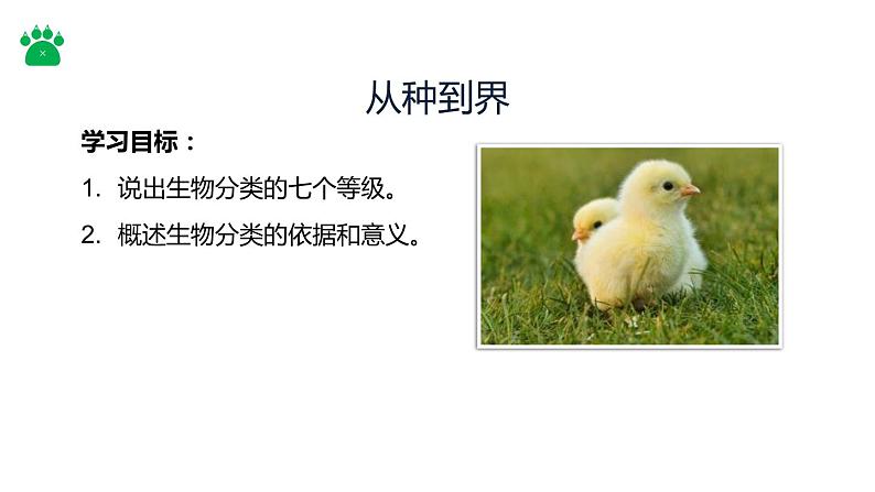 人教版生物八年级上册课件:6.1.2 从种到界(共21张PPT)02