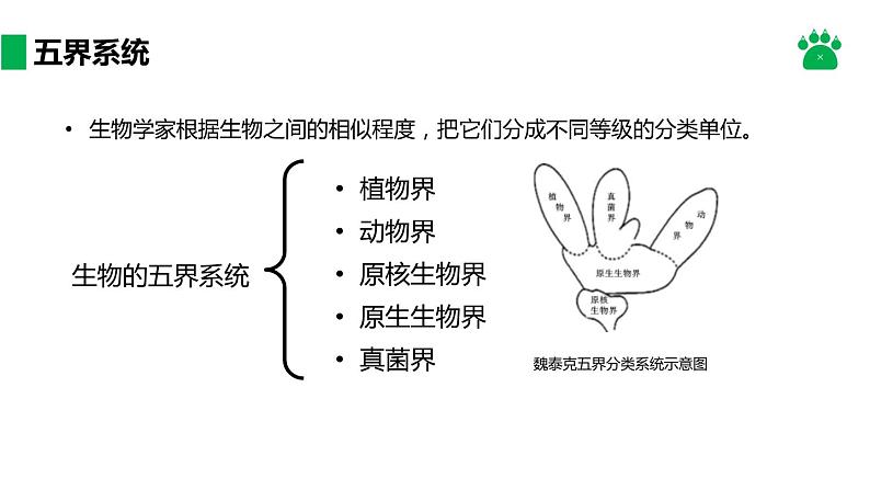 人教版生物八年级上册课件:6.1.2 从种到界(共21张PPT)04