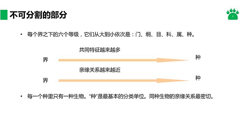 人教版生物八年级上册课件:6.1.2 从种到界(共21张PPT)07