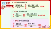 初中第一节 呼吸道对空气的处理评课课件ppt