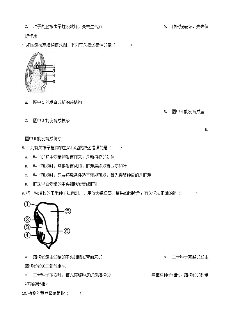 2021年中考生物一轮复习专项训练打包11套02