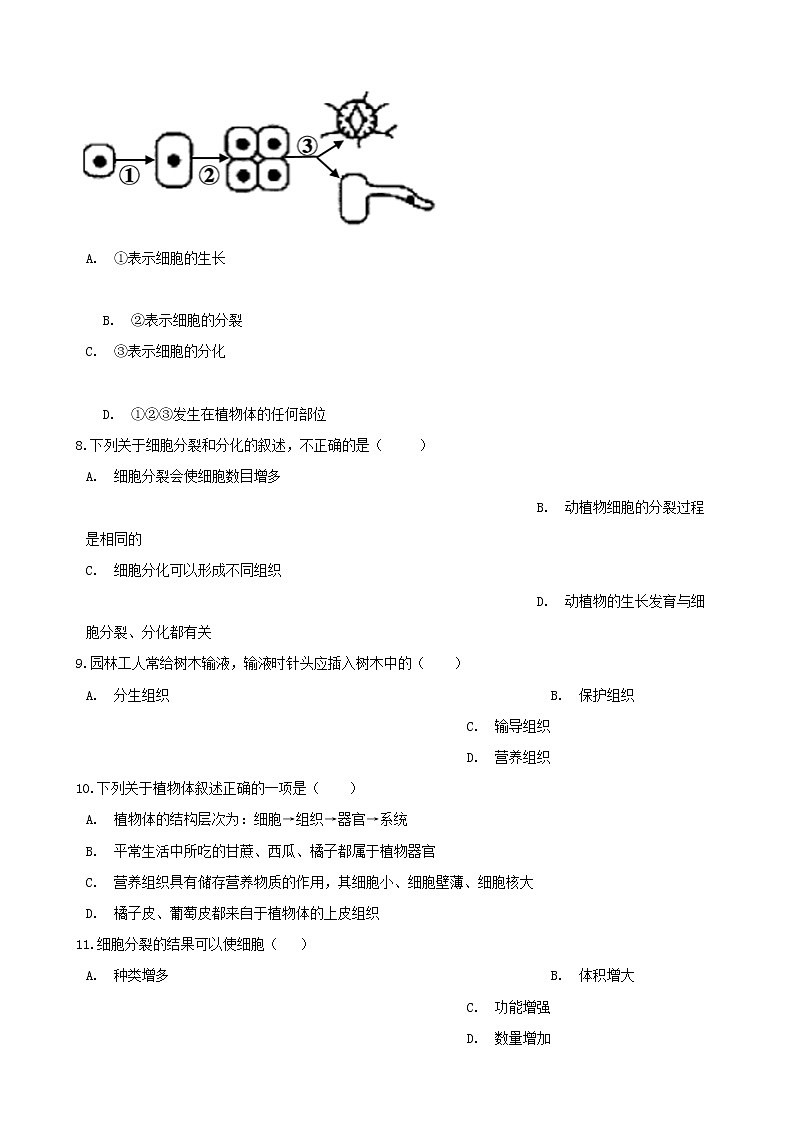 2021年中考生物一轮复习专项训练打包11套02