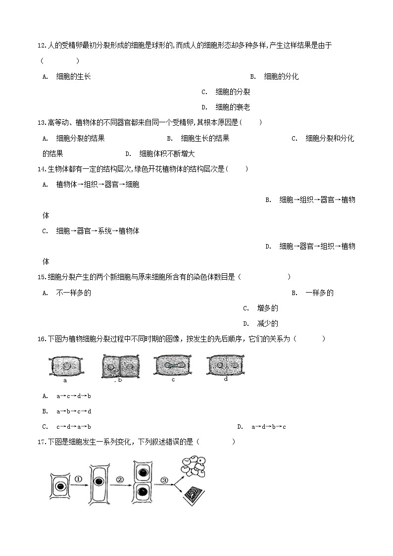 2021年中考生物一轮复习专项训练打包11套03