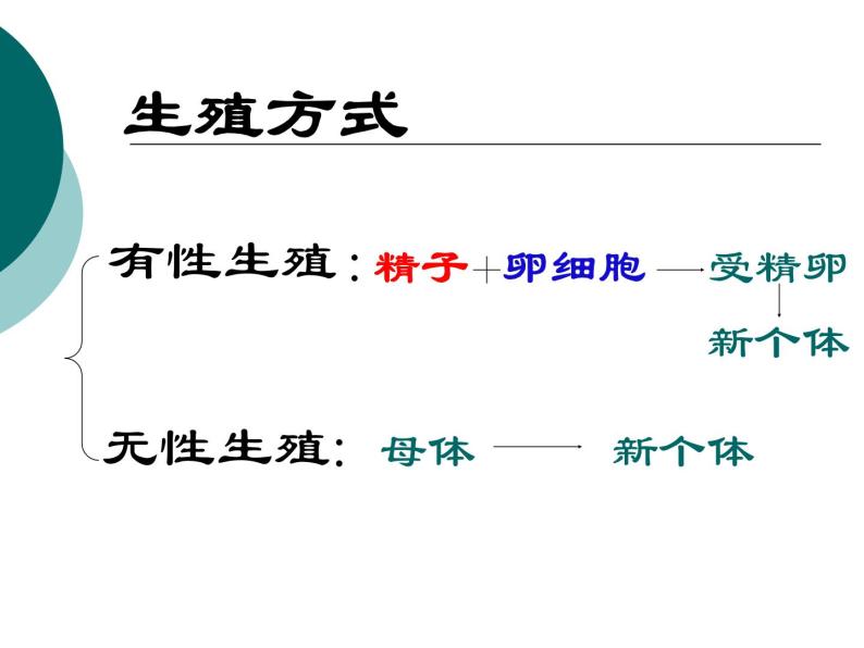 人教版八年级生物下册全册知识点复习课件03