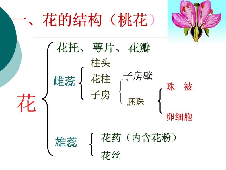 人教版八年级生物下册全册知识点复习课件05