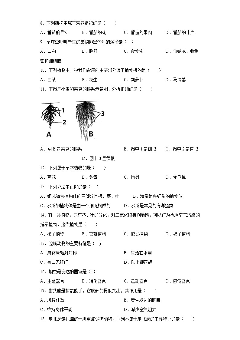 河北省石家庄市栾城区2020-2021学年七年级上学期期末生物试题(word版 含答案)02