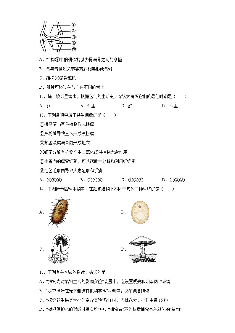 2021年山东省聊城市一城四区初中学生学业水平模拟考试生物试题(一)03