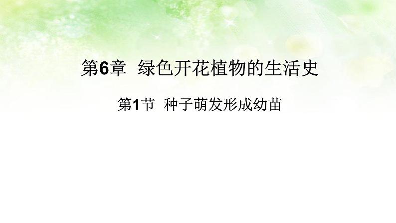 (北师大七上)3.6.1 种子萌发形成幼苗 课件02