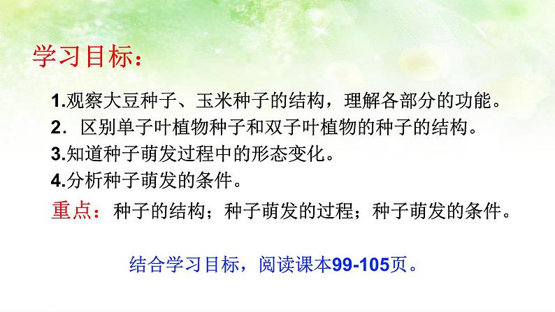 (北师大七上)3.6.1 种子萌发形成幼苗 课件03