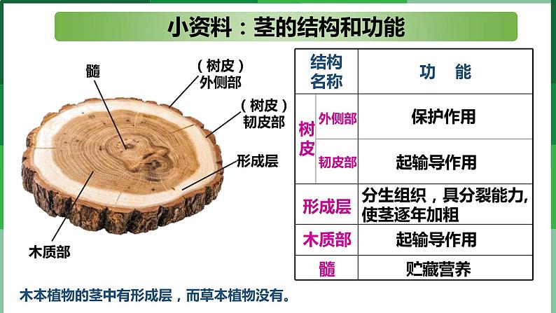 (北师大七上)3.5.5 运输作用第3页