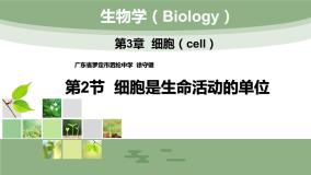 初中北师大版第2节 细胞是生命活动的单位背景图课件ppt