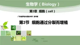 （北师大七上）2.3.3 细胞通过分裂而增殖 课件