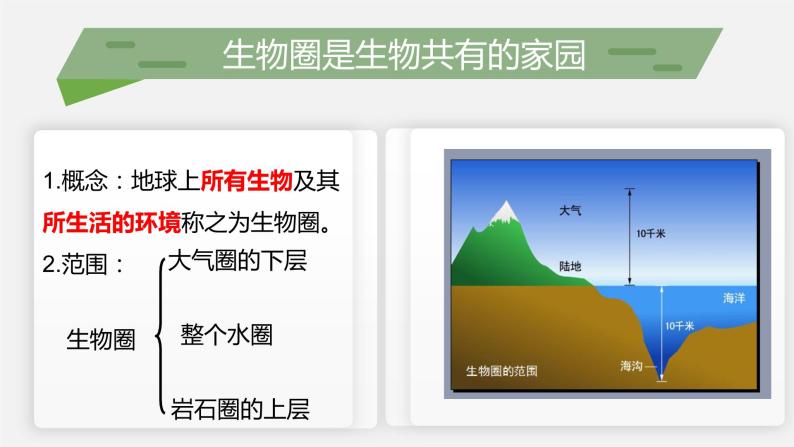 （北师大七上）1.1.1 形形色色的生物 课件04