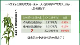 （北师大七上）3.5.4 蒸腾作用 课件