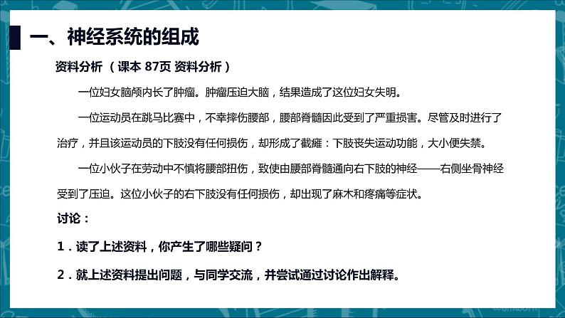 人教版七下生物:6.2神经系统的组成PPT课件第6页