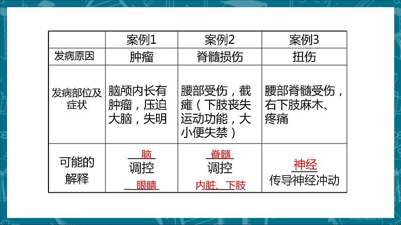 人教版七下生物:6.2神经系统的组成PPT课件第7页