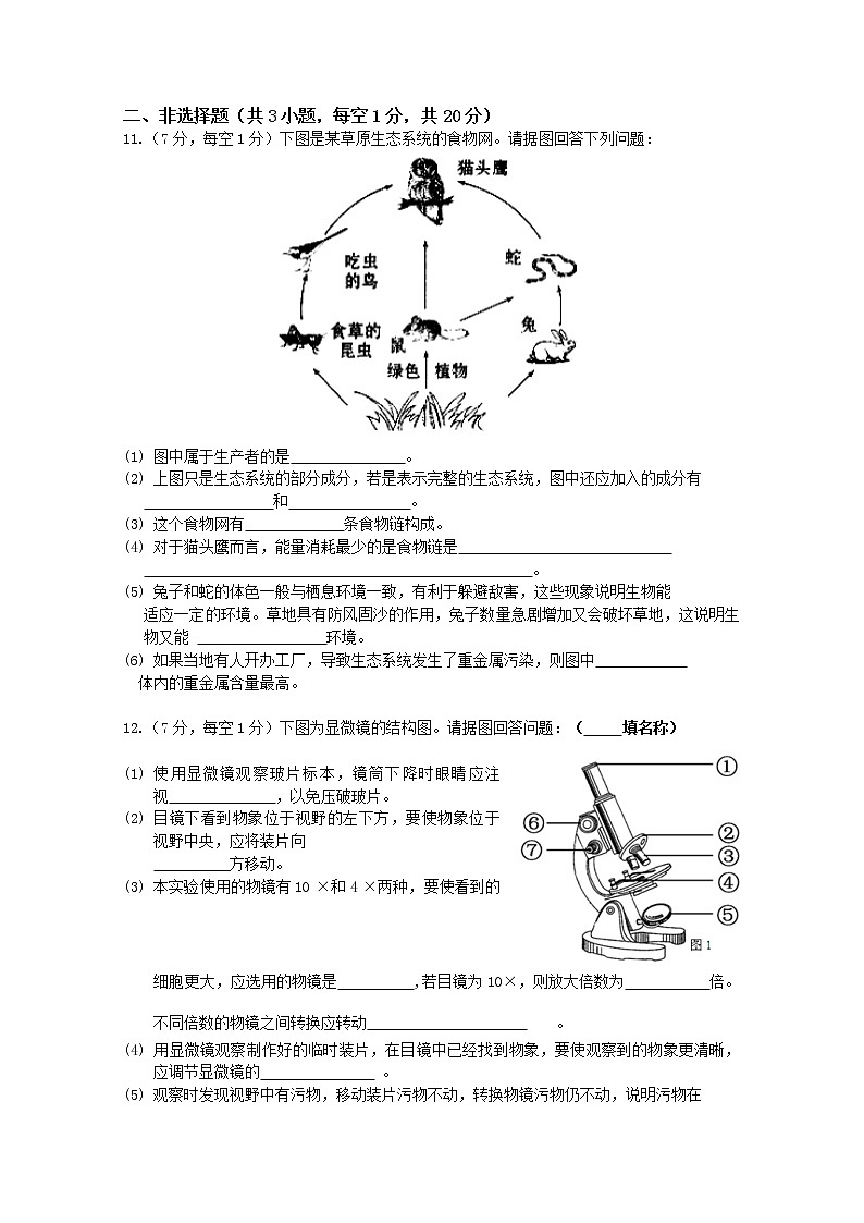 湖北省武汉市2020-2021学年七年级上学期期中考试生物试题(word版 含答案)02