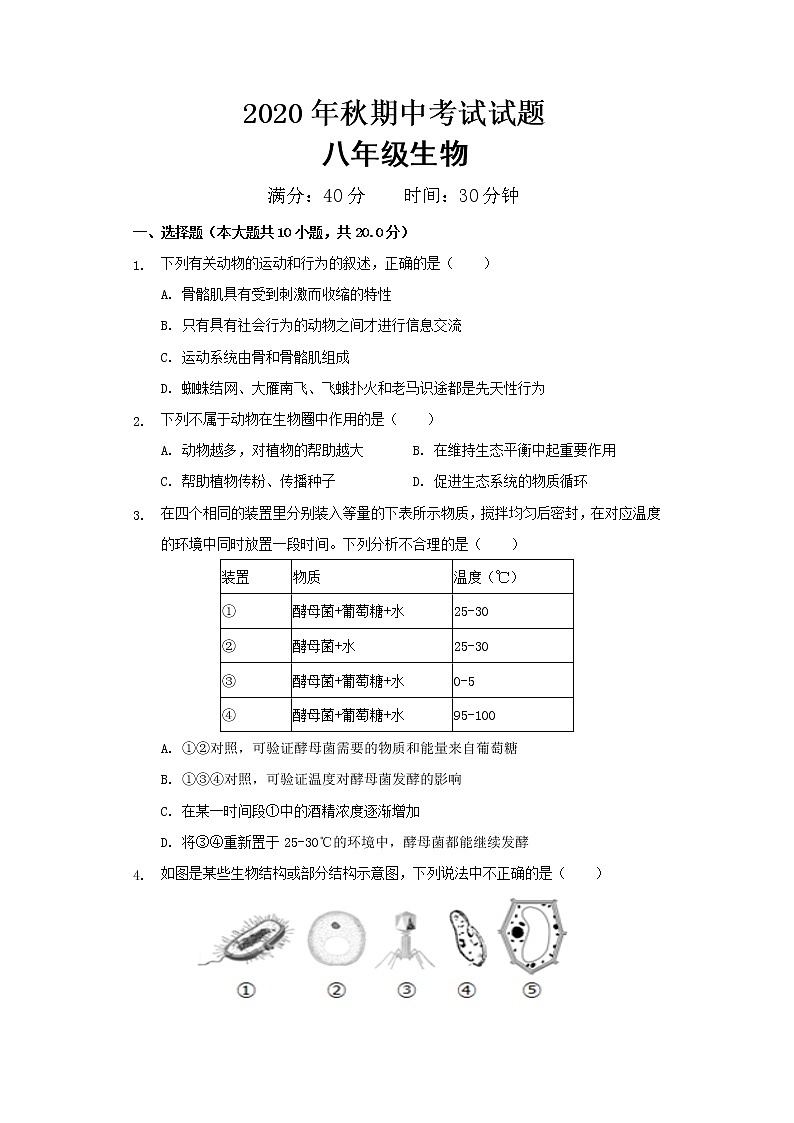 湖北省武汉市2020-2021学年八年级上学期期中考试生物试题(word版 含答案)01
