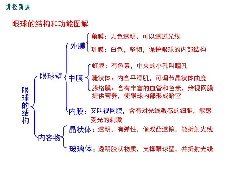 第1课时 视觉感知第6页