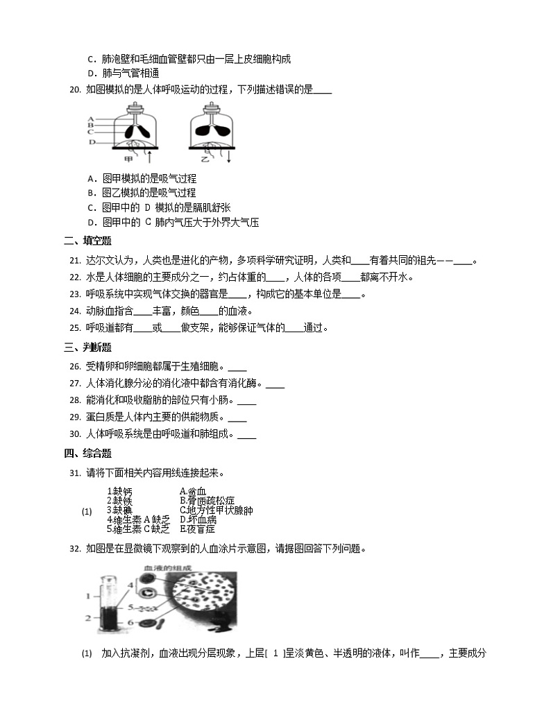 2020-2021学年人教版生物七年级下册期中拓展练习(word版 含答案)03