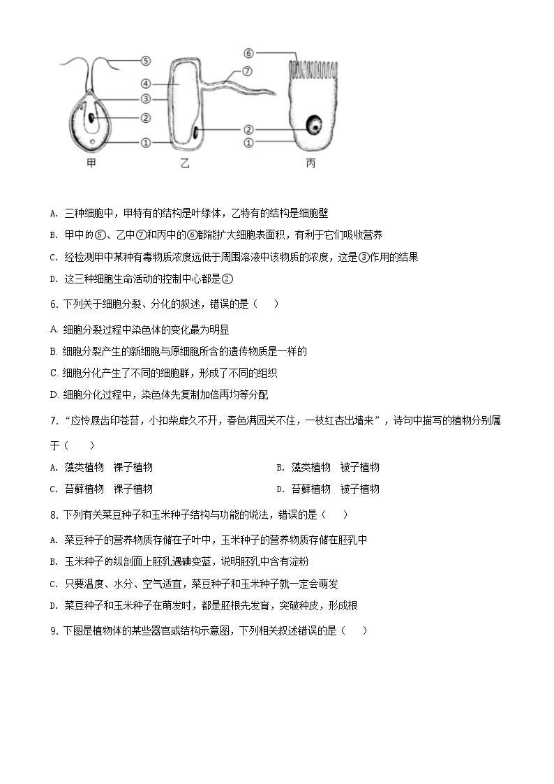 山东省临沂市2020年中考生物试题（原卷版＋解析版）02