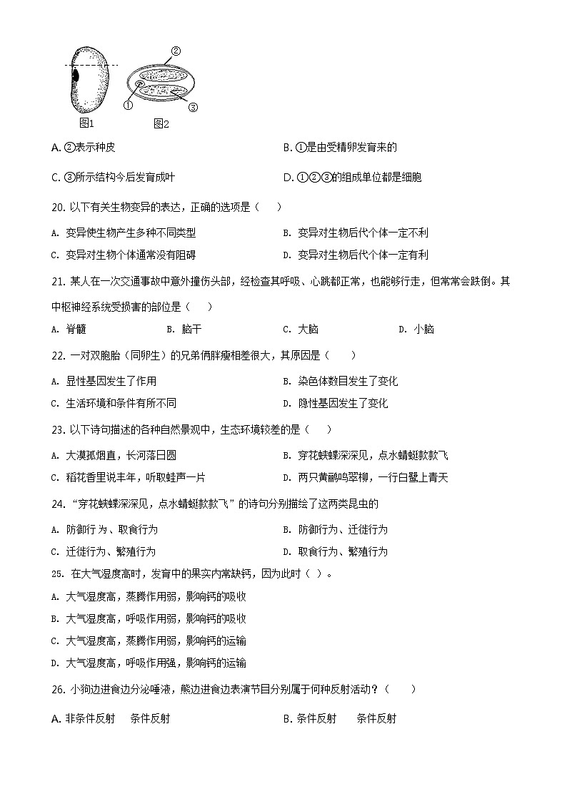山东省日照市2020年中考生物试题(原卷版+解析版)03
