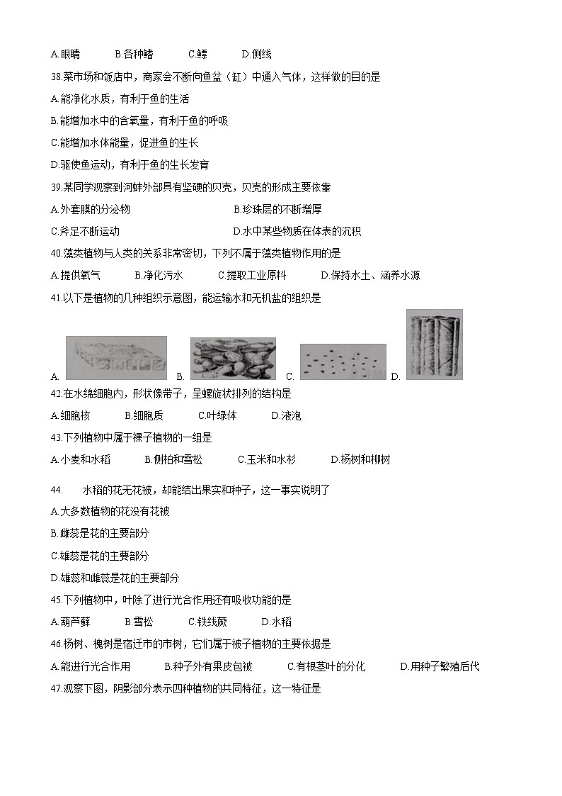 江苏省宿迁市沭阳县2020-2021学年七年级下学期期中生物试题(word版 含答案)03