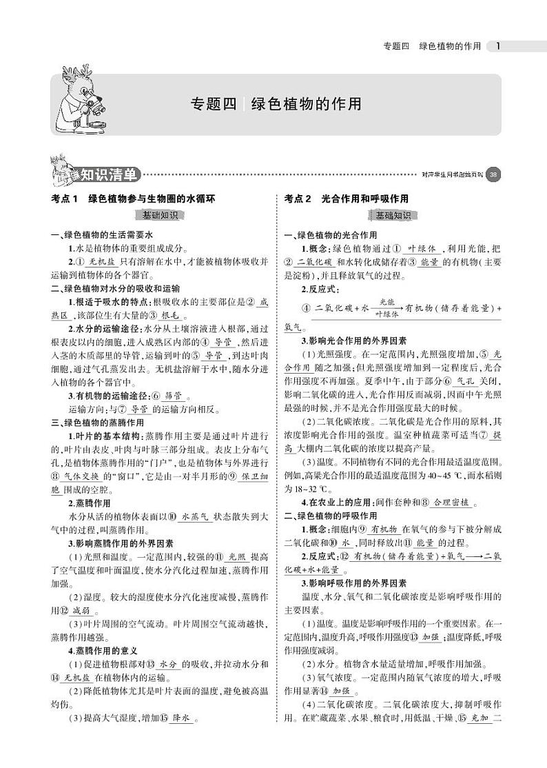 专题四 绿色植物的作用01