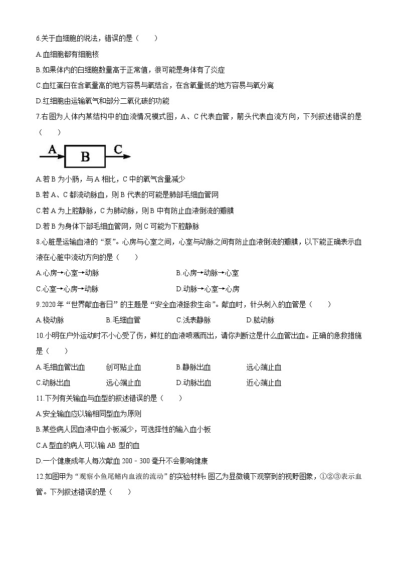 四川省简阳市简城学区2020-2021学年七年级下期中生物试题(word版 含答案)02