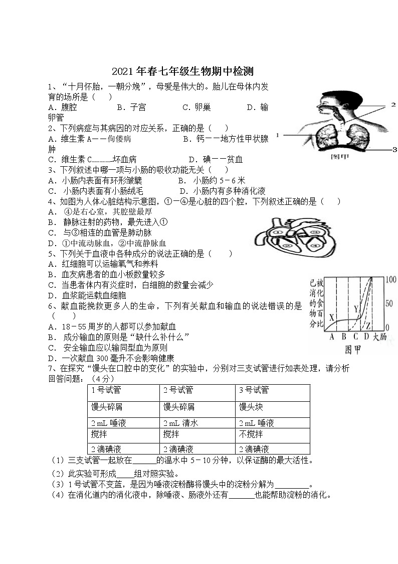 湖北省谷城县2020-2021学年七年级下学期期中考试生物试题(word版 含答案)01
