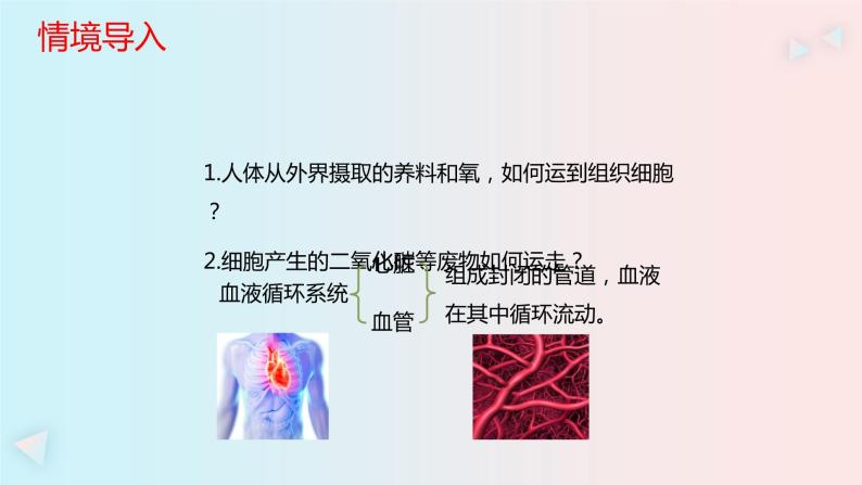 人教版七年级生物下册4.1《流动的组织—血液》PPT课件01