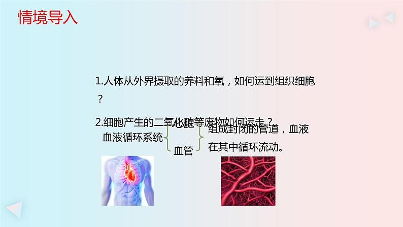 人教版七年级生物下册4.1《流动的组织—血液》PPT课件第1页