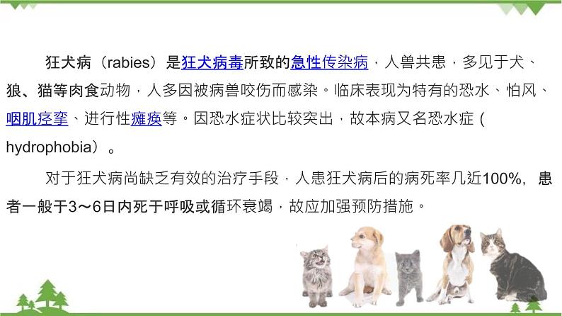 8.1.2 免疫与计划免疫(同步课件)-2020-2021学年八年级下册生物(人教版)05